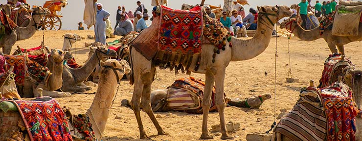 jaipur ajmer pushkar tour